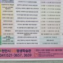 유튜버로 인싸 되기 이미지