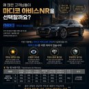 💎 테슬라 모델Y 롱레인지 모델YL 신차패키지｜마디코 아비스NR + PPF 8종 시공 후기