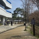 추계2리 공중화장실 | [경기도 의왕 여행] 피크닉과 산책하기 좋은 왕송호수공원｜벚꽃만개한 모습과 레일바이크