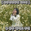 [공주 데이트 추천] 미르섬 | 충남 공주 금강신관공원 샤스타데이지 명소 | 자전거 대여 | 국내 여행지...