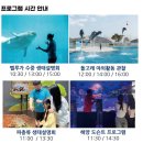 씨월드 | 거제 실내데이트 추천 거제씨월드 방문 후기 벨루가와 돌고래 프로그램 공연시간 입장료 할인 정보 공유