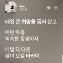 대구광역시 북구 어울아트센터 | 인디신페스티벌 오월오일 후기 250711 🩹 대구 어울아트센터 시야