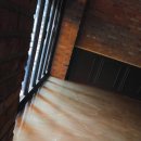 신장시장 이미지