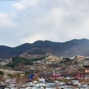 숲향여행사 이미지