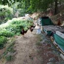 찬구농장 이미지