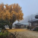 조양 전통시장 이미지