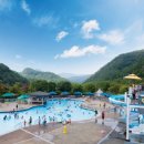 엘리시안강촌수영장 이미지