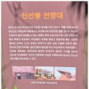 아산시의 정성과 사랑이 가득한 시민들의 산림 휴양지 영인산을 올랐다(2026.6.9). 녹음이 우거진 숲속...