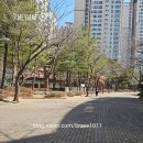 베리타스헤어