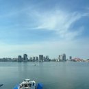 마리스텔라 이미지