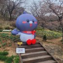 난타(야간) | 2026 서대문봄빛축제 일정·공연·야경 코스 핵심 정리