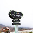 가야산칠불봉야생화마을 이미지