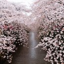 청맥부동산공인중개사사무소 이미지