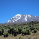 킬리만자로 이미지