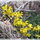 소수중학교 이미지