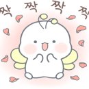 팀식스아쿠아키즈 이미지