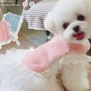 강아지멋내기