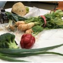 정남진산업고등학교 | [사업후기]2019년 09월 26일 목요일_ 제21회 문예백일장 및 제17회 그림그리기대회