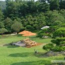 메이 캠프 이미지