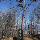 금병초등학교 | 춘천 금병산에 다녀오다