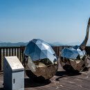 공룡박물관 이미지