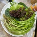 윤가네 | 경주 미나리삼겹살 윤가네미나리 솔직후기 기름 샐 틈 없는 미나리 볶음밥 조합