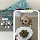 유황오리치킨 | 강아지 화식 추천 도기넛 치킨, 오리 맛 푸우 급여 후기