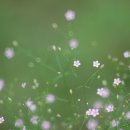 초록마을 이미지