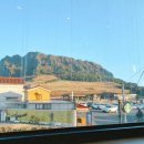 스타벅스성산일출봉점