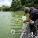 춘천배수펌프장 이미지