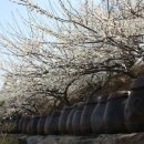 섬진강 물길 이미지