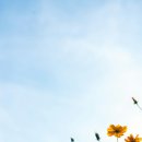 리하스킨케어 이미지