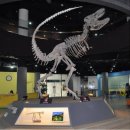 타르보사우루스-1 이미지