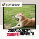 강아지 수제간식 국비지원 교육 후기, 펫푸드 전문가 되는 길!