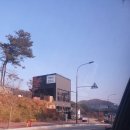 댕댕이블루스 이미지