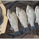 회암소류지 이미지