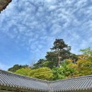 경주 황남빵 본점 후기, 내돈내산 솔직 리뷰와 택배 후기