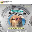 (주)D&A | [대외활동] 동아일보 대학생 서포터즈 D.A.다이버 2기 최종 선발 후기！🤿