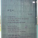 우포에버들국수 이미지