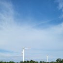 라라피포 제주 이미지