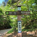 율어면사무소 | 전남 보성 철쭉 명산 초암산 무남이재(윤제림) 출발 코스 가족 산행 후기