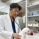 함께하는 동물병원 | 옥수동 동물병원 평소와 다른 변 색, 강아지가 보내는 조용한 신호