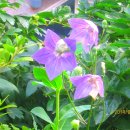 남양5 발전소 이미지