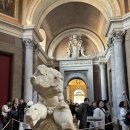 도미네로 | 이탈리아 로마 2일차 : 바티칸 박물관 / 성 칼릭스투스 카테콤베 / 도미네 쿠오바디스성당 / 성베드로성당