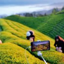 유한회사 신농 이미지