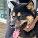 B캠핑장 화장실 이미지