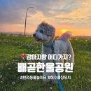 한울유치원 | 시흥프리미엄아울렛근처 일몰명소 배곧한울공원 사진포인트 추천