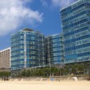 팔레드시즈 이미지