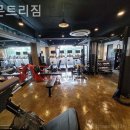 레몬트리짐 이미지