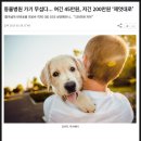 동편동물혈액검진센터
